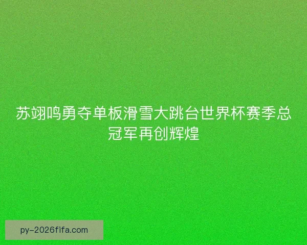 苏翊鸣勇夺单板滑雪大跳台世界杯赛季总冠军再创辉煌