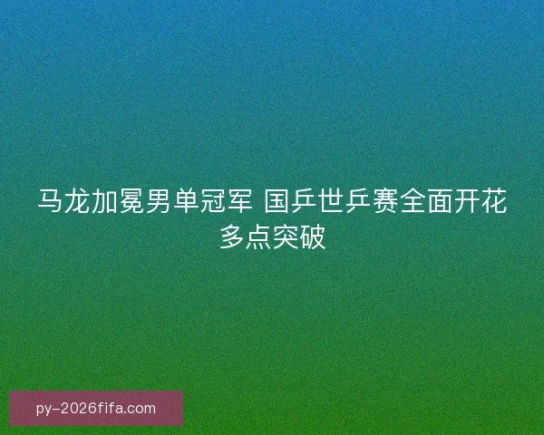 马龙加冕男单冠军 国乒世乒赛全面开花多点突破