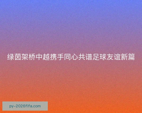 绿茵架桥中越携手同心共谱足球友谊新篇 绿茵架桥中越携手同心共谱足球友谊新篇